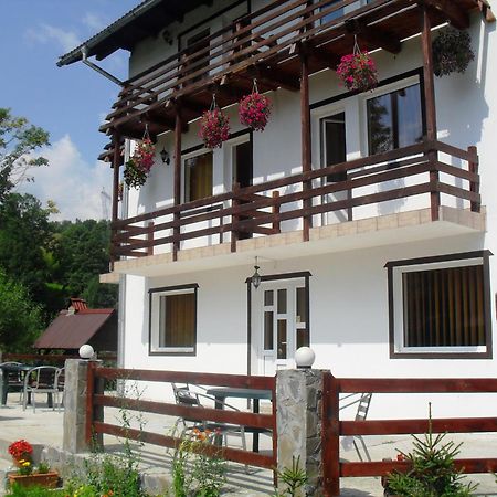 Vila Doina Branului برانْ المظهر الخارجي الصورة
