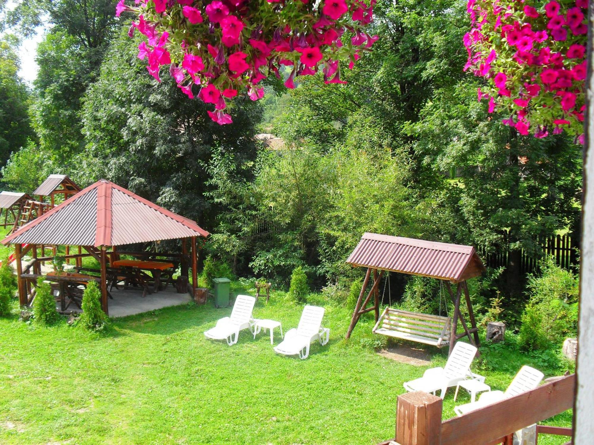 Vila Doina Branului برانْ المظهر الخارجي الصورة