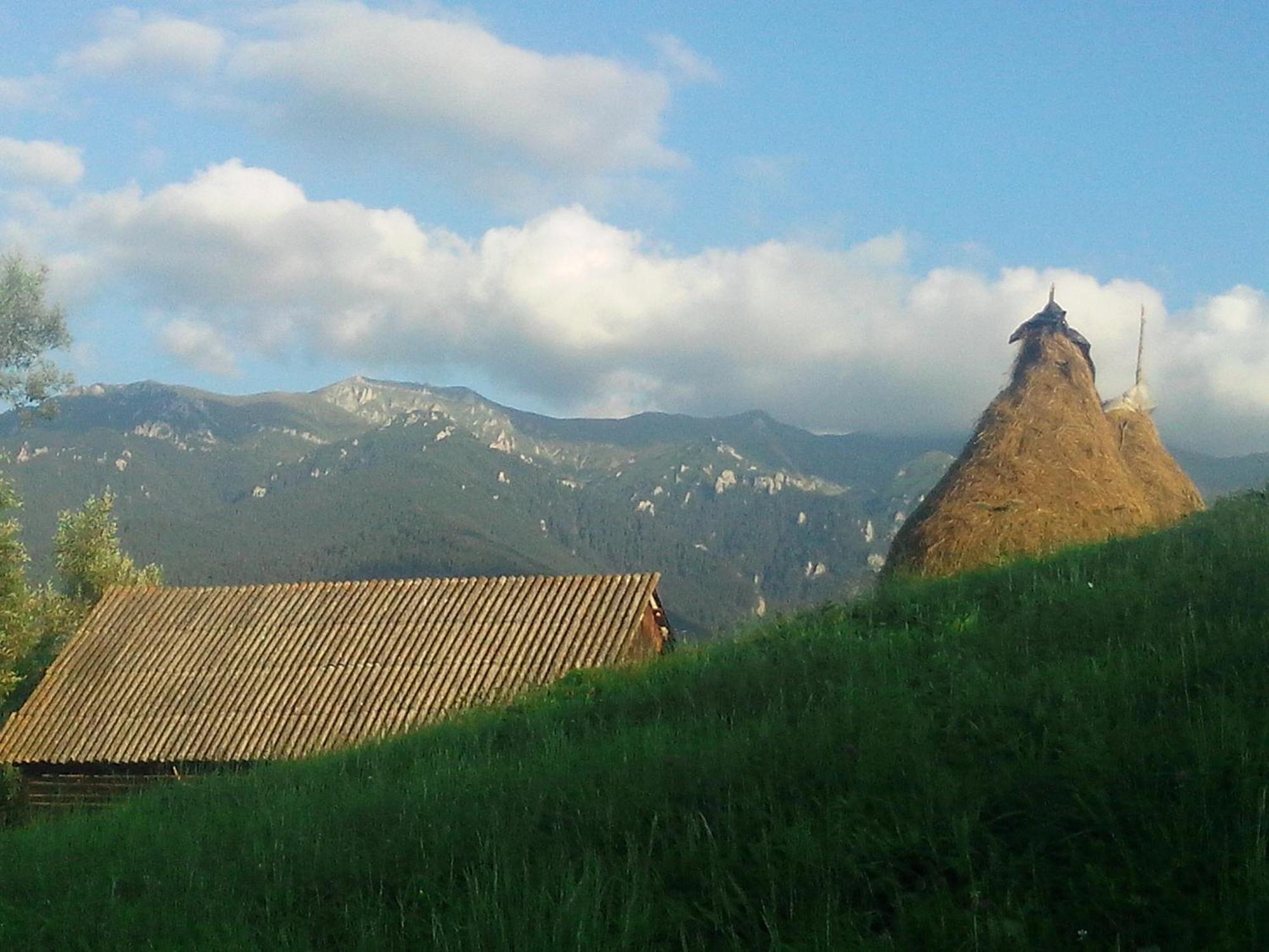 Vila Doina Branului برانْ المظهر الخارجي الصورة