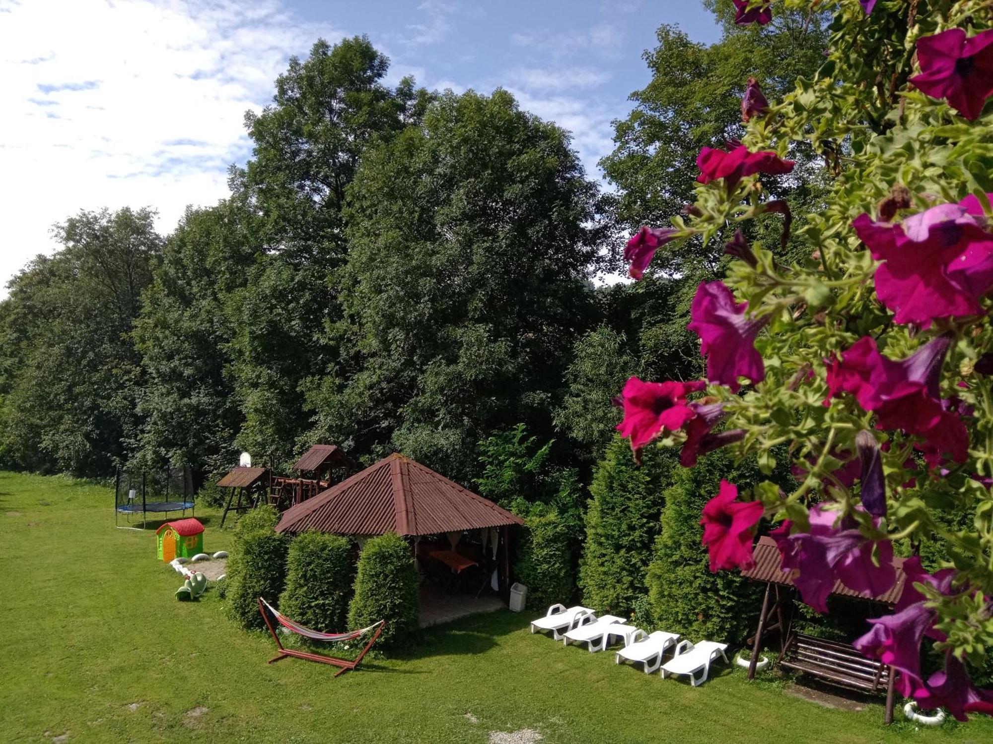 Vila Doina Branului برانْ المظهر الخارجي الصورة